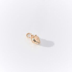 Catbird - Wild Strawberry Charm - 14K